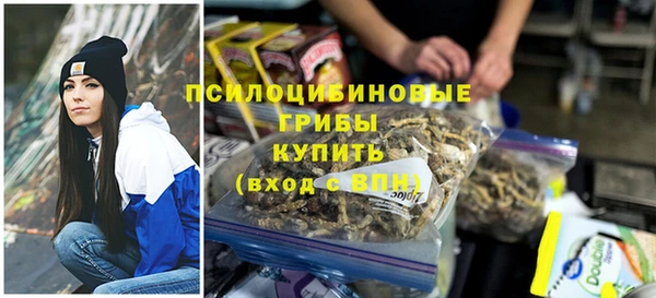 эйфоретик Липки